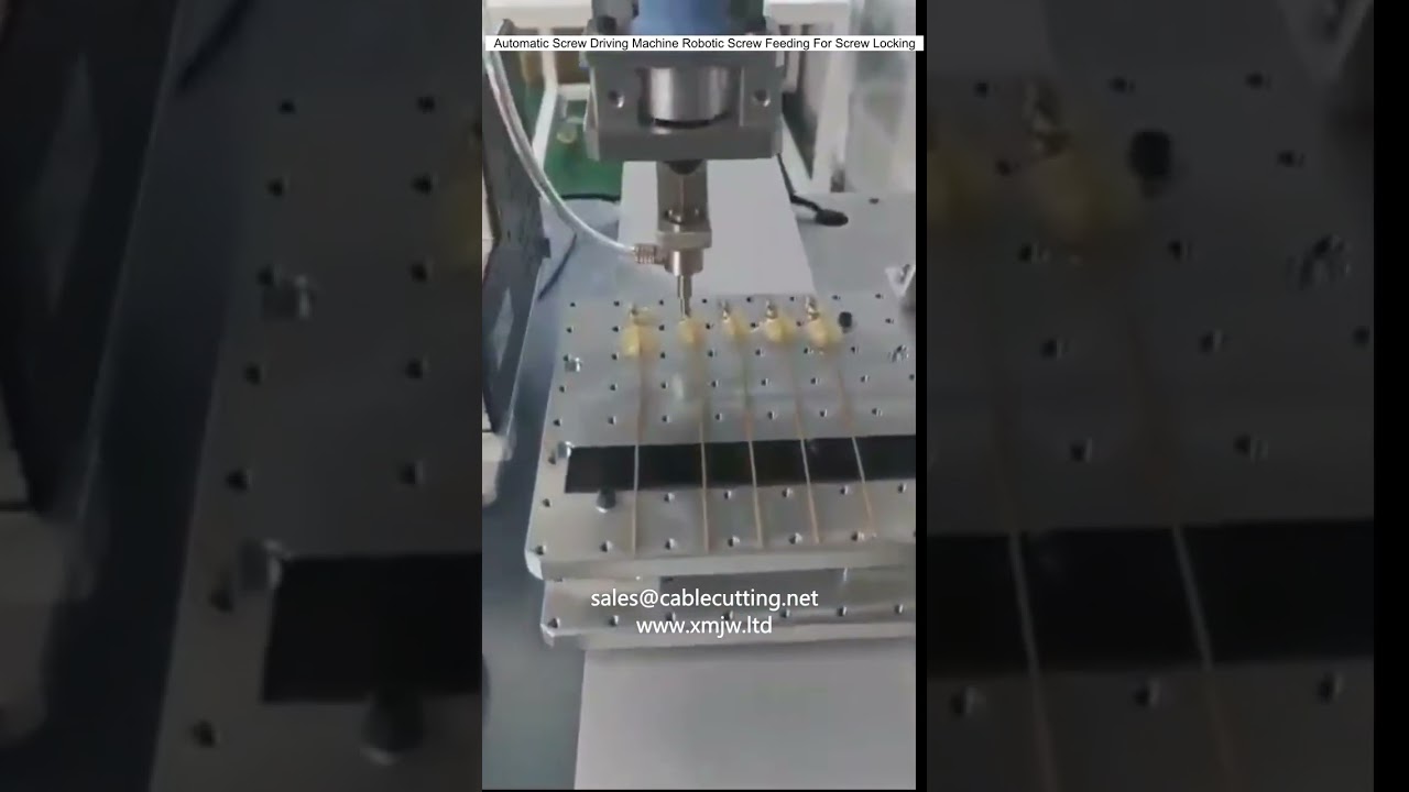 Automatisk skruvemaskine med robotisk skruvemadning til skruelåsning
