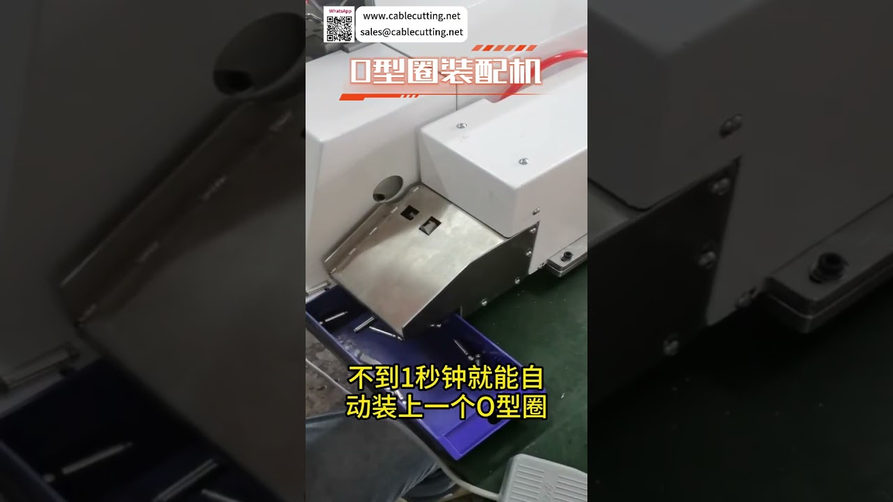 Smart O Ring Assembly Machine High Efficiency Automatic Sealing Ring Production Equipment Line
