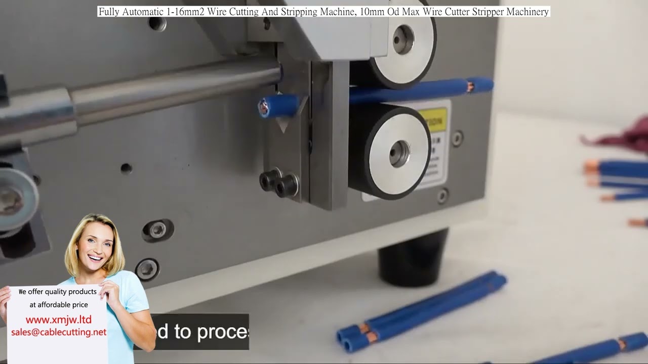 Fully Automatic 1-16mm2 Wire Cutting and Stripping Machine, 10mm OD Max Wire Cutter Stripper