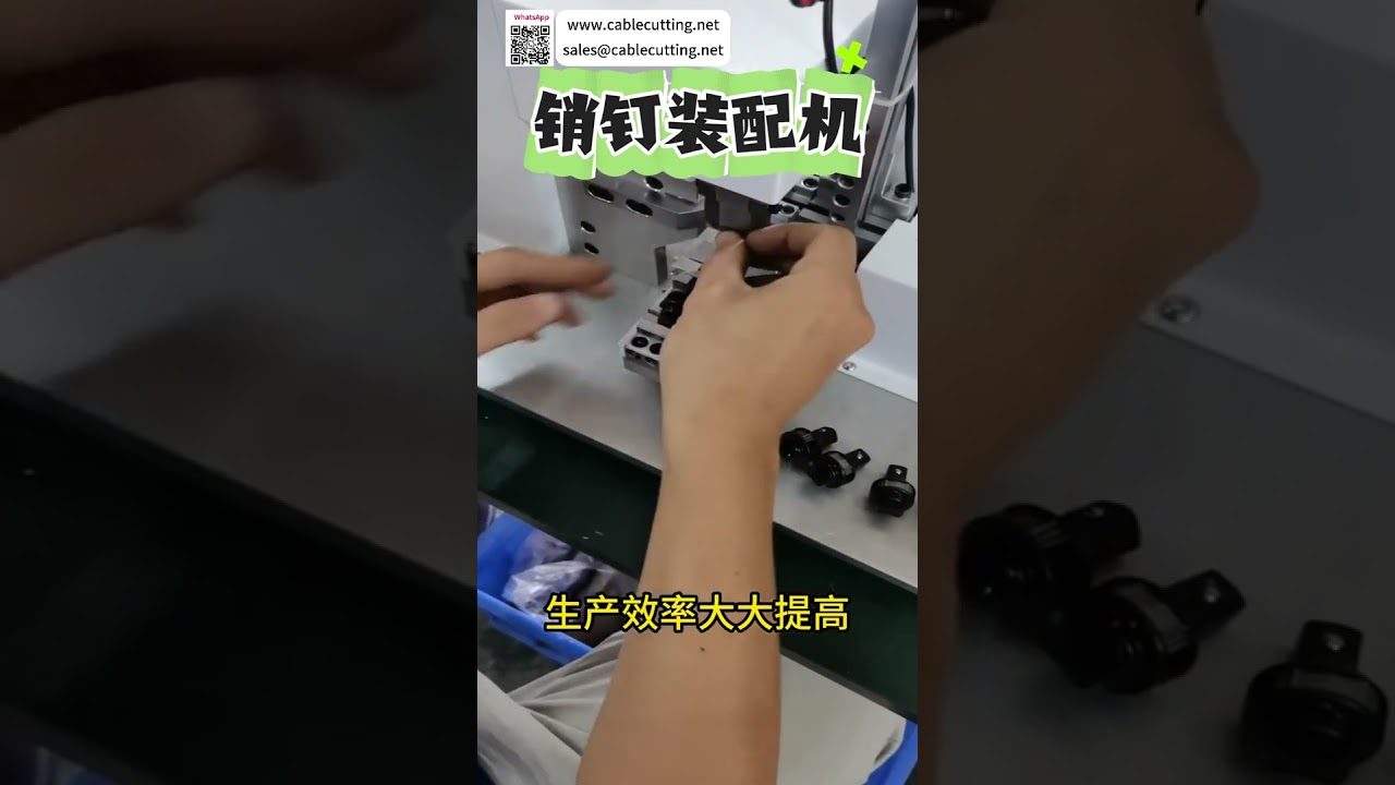 Automatic Dowel Pin Assembly Machine High Precision Innovative Industrial Manufacturing Auto Tool