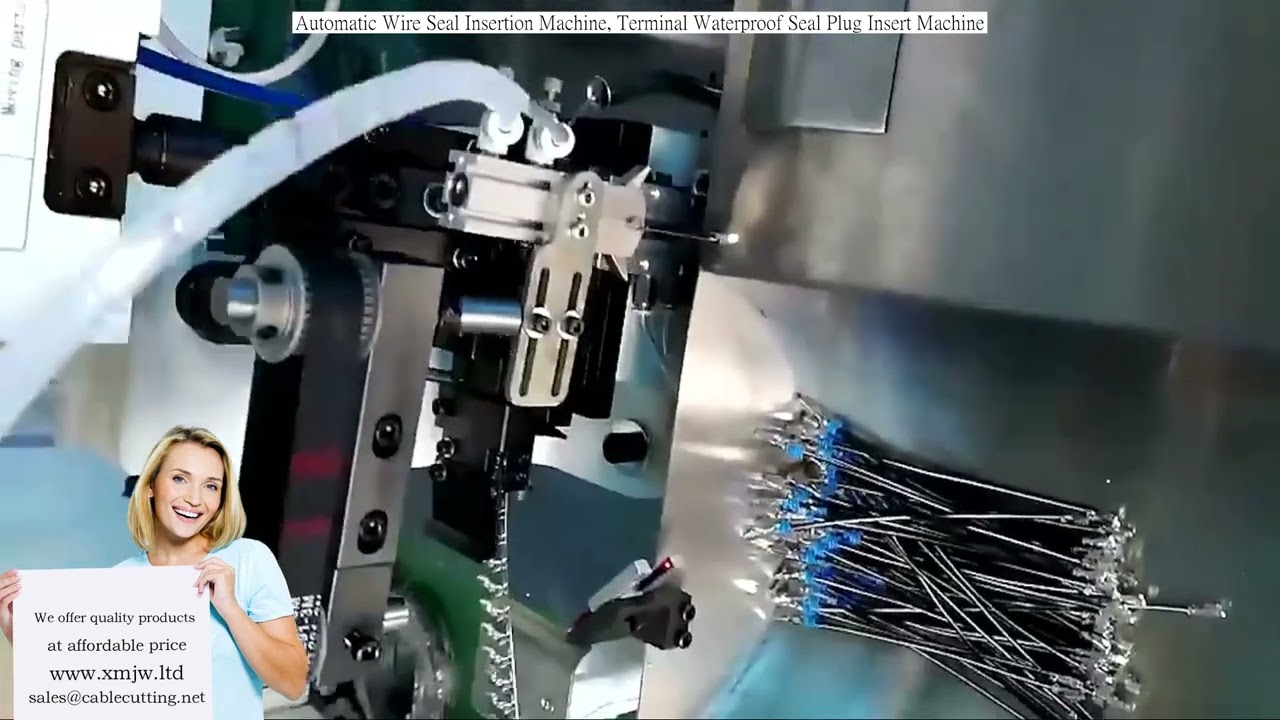 Automatic Wire Seal Insertion Machine, Terminal Waterproof Seal Plug Insert Machine